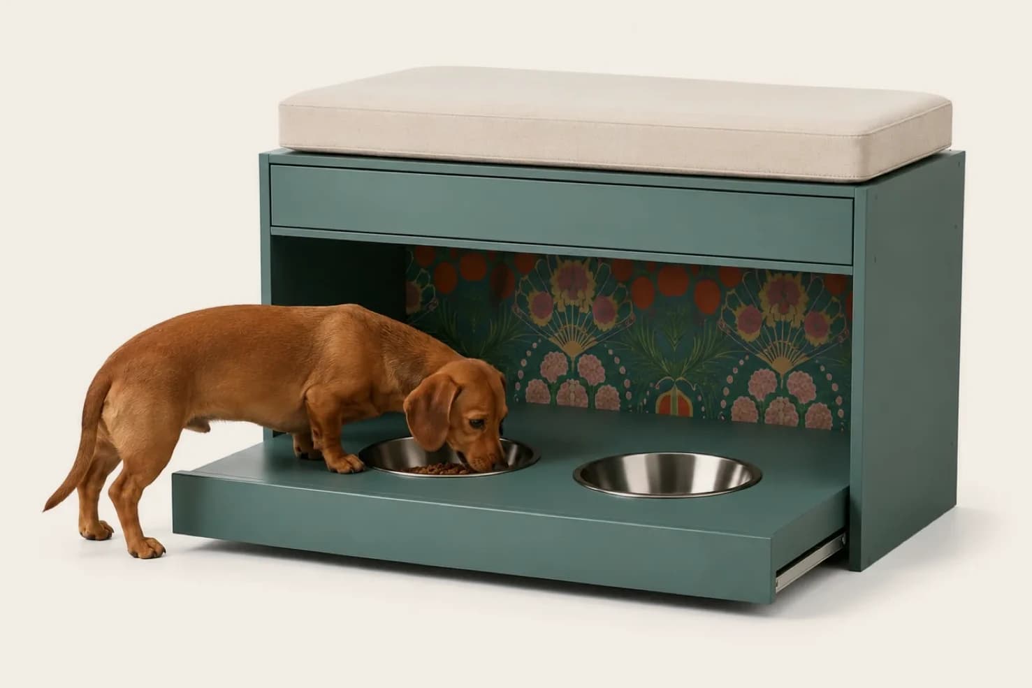 A dachshund eating from the feeding-bowl tray of the mist Clifford