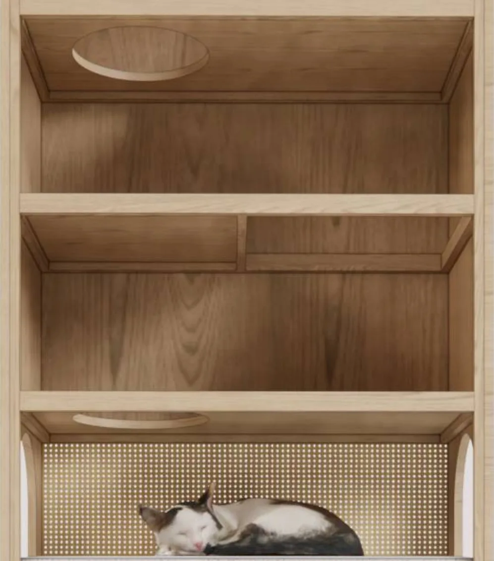 Interior del Bastet: los niveles y los pasos circulares que recorre el gato